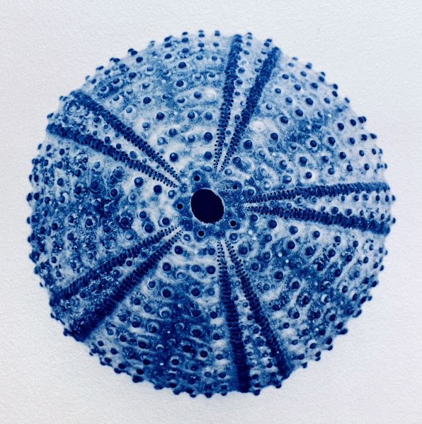 image-16.JPG