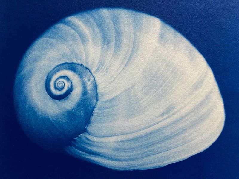 image-582.JPG
