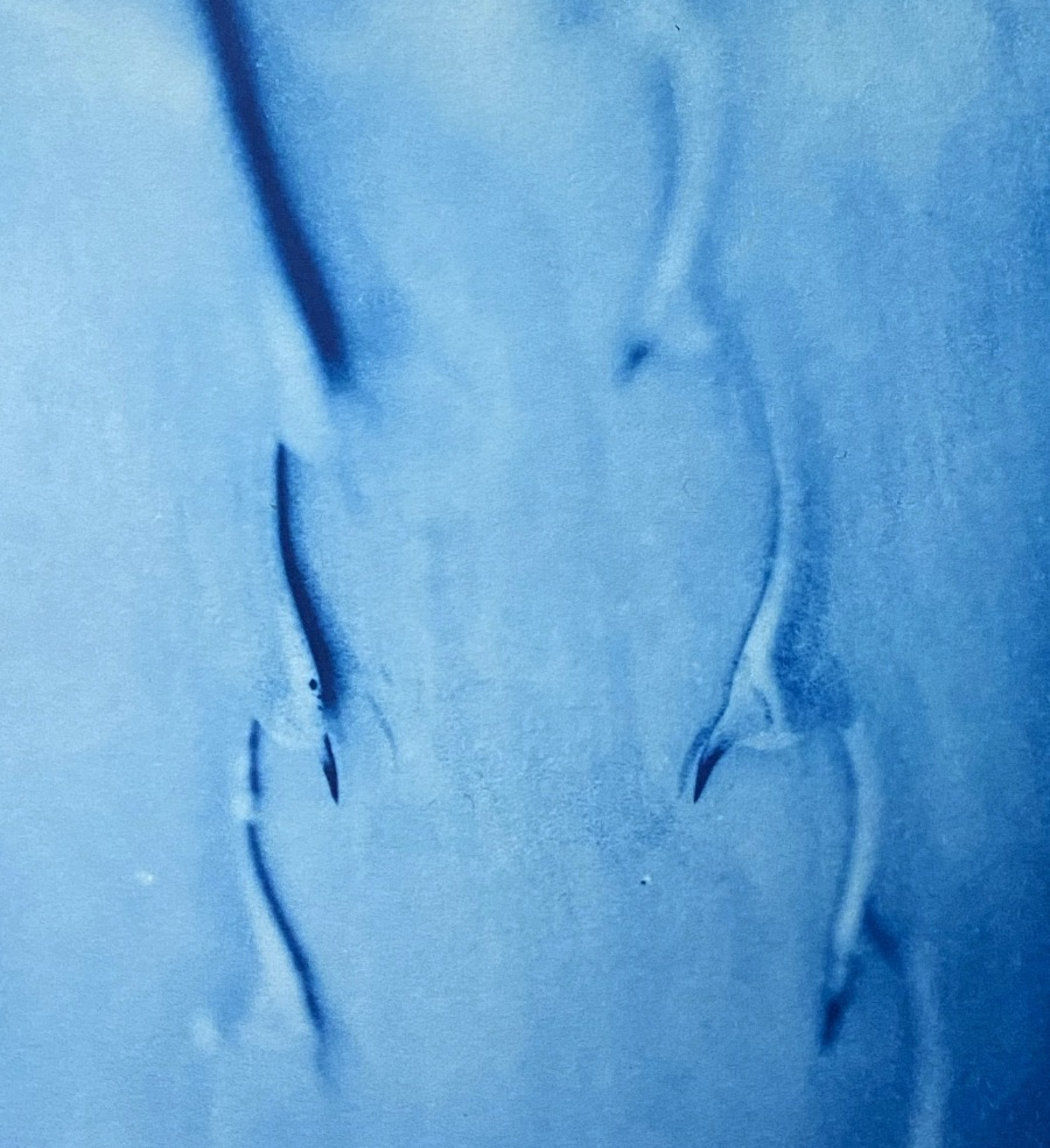 image-811.JPG